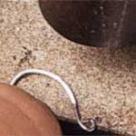 simple fish hook earwire