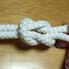 reef knot